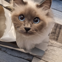 Photo de profil de Lignereux