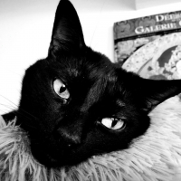 Photo de profil de Kéro-Béro