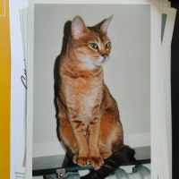 Photo de profil de Saxo