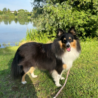 Photo de profil de Unaya