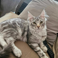 Photo de profil de Willow