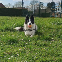 Photo de profil de Gaïa