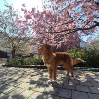 Photo de profil de Buddy 