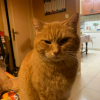 Photo de Caramel 