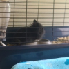 Photo de Nala 