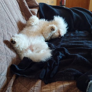 Photo de profil de Djette