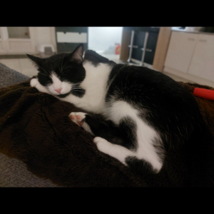 Photo de profil de Athena