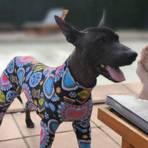Photo de profil de Linda Pirotte 