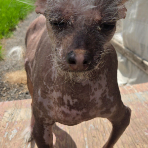 Photo de profil de Mr Coco