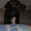 Photo de Penelope 