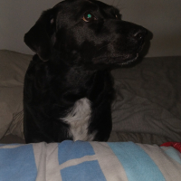 Photo de profil de Penelope 