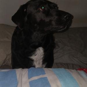 Photo de profil de Penelope 