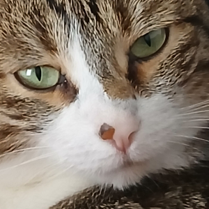 Photo de profil de Stella 
