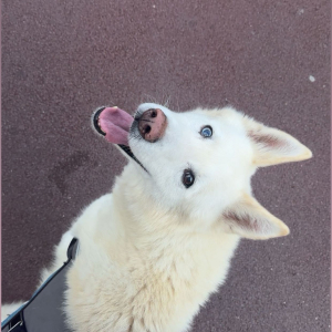 Photo de profil de Kenzo 