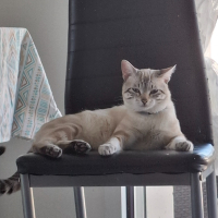 Photo de profil de Léo 
