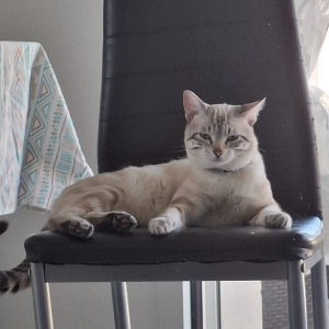 Photo de profil de Léo 