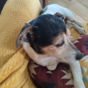 Photo de profil de Iska