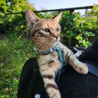 Photo de profil de Moka