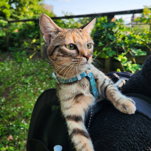 Photo de profil de Moka
