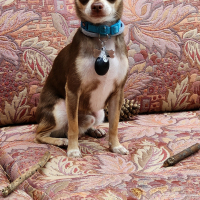 Photo de profil de Teddy 