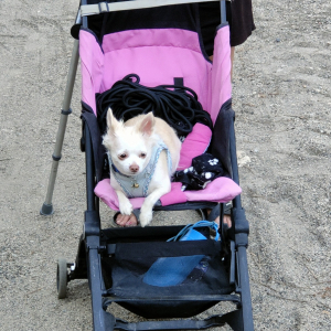 Photo de profil de Kiki