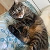 Photo de Mimi