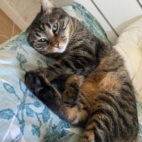 Photo de profil de Mimi