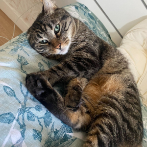 Photo de profil de Mimi
