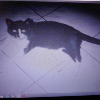 Photo de profil de LADY