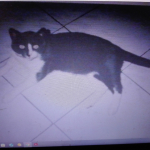 Photo de profil de LADY