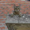 Photo de Mine