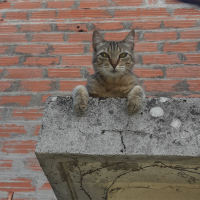 Photo de profil de Mine