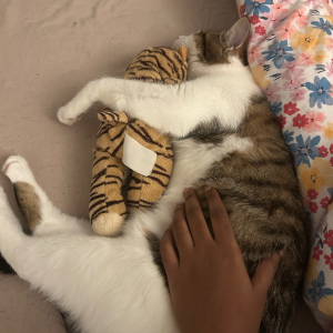 Photo de profil de Praline