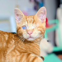Photo de profil de O'Malley 