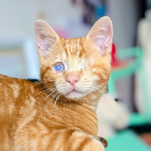 Photo de profil de O'Malley 