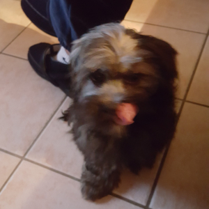 Photo de profil de Evan