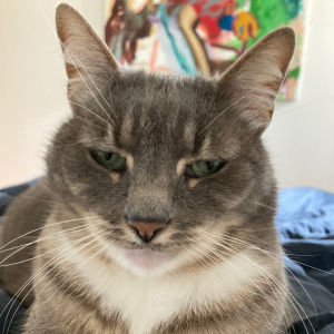 Photo de profil de Messie 