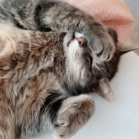 Photo de profil de Jama 