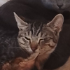 Photo de Kimeko