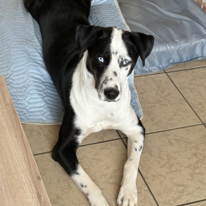 Photo de profil de Venom