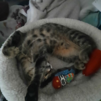 Photo de profil de Venus