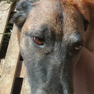 Photo de profil de Ouaga