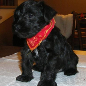 Photo de profil de Betty