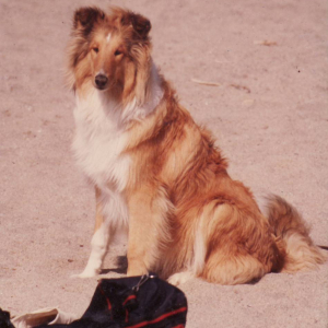 Photo de profil de Randy