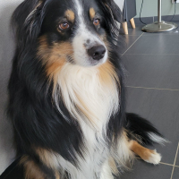 Photo de profil de Pepsy