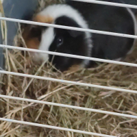 Photo de profil de Angel 