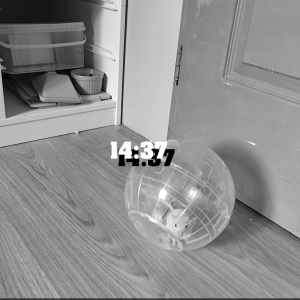 Photo de profil de Mao mao