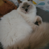 Photo de profil de Marty