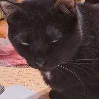 Photo de profil de Ugo