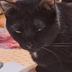 Photo de profil de Ugo